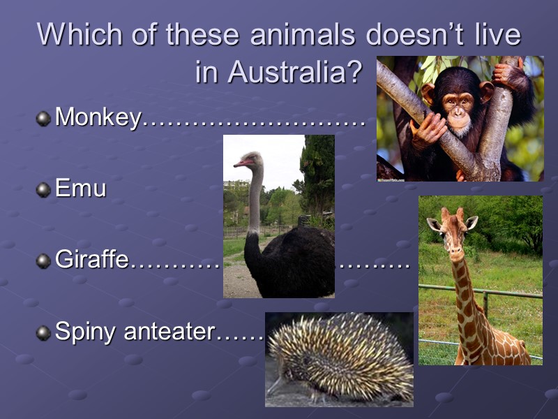 Which of these animals doesn’t live in Australia? Monkey………………………  Emu  Giraffe……………………………. 